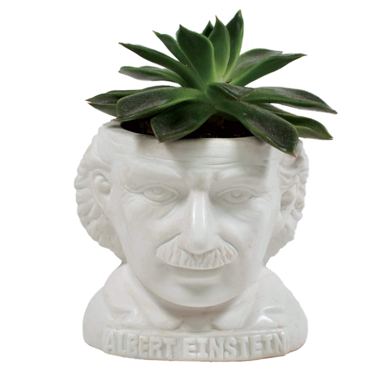 gifts-for-professors-bust