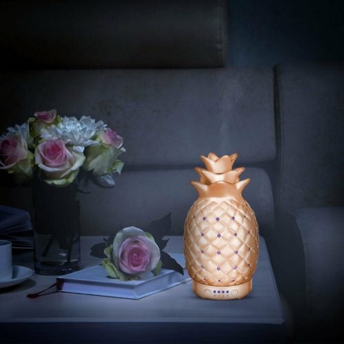 pineapple decor gifts diffuser