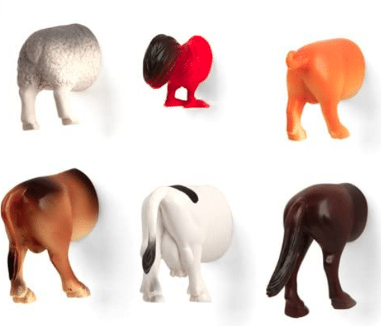 novelty-gifts-animal-butt-magnets