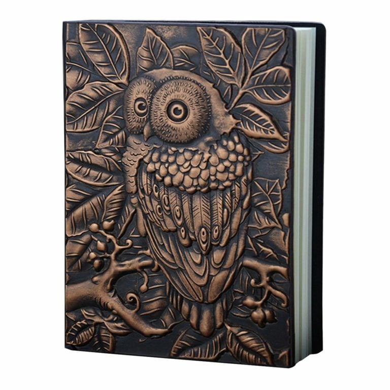 22 Owls Gifts That Are A Real Hoot In 2020 Giftlab   71BdY39DVL. SL1380  768x768 