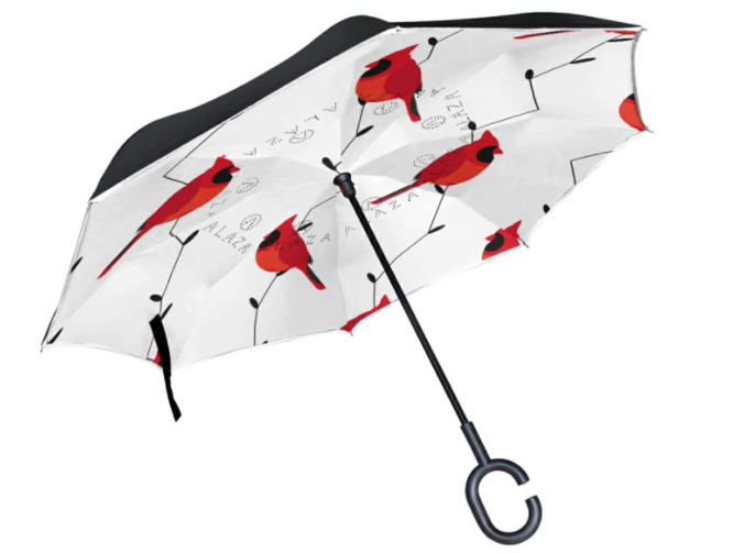 gifts-for-bird-lovers-umbrella