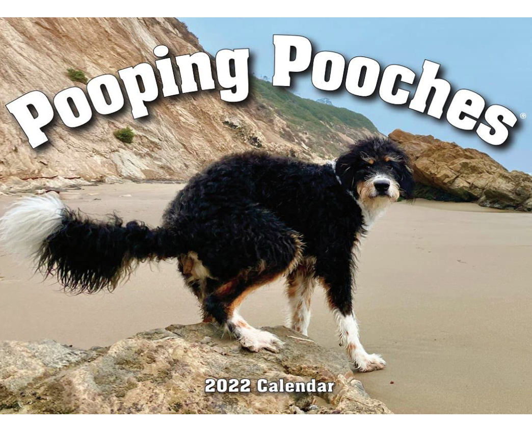 funny-fathers-day-gifts-pooping-calendar