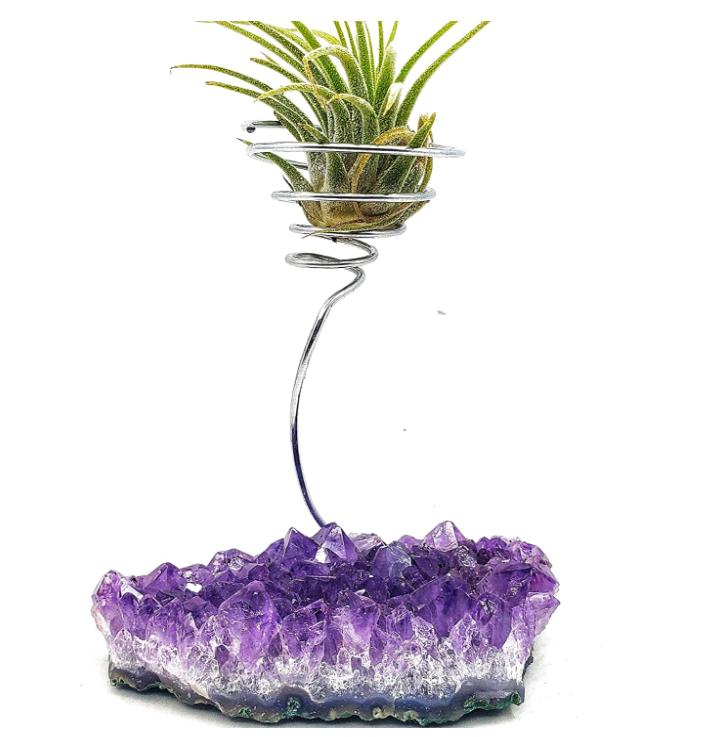 gifts-for-women-plant