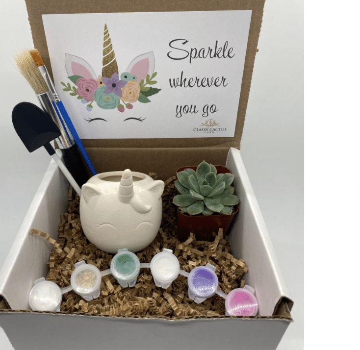 unicorn-gifts-for-girls-succulent-pot