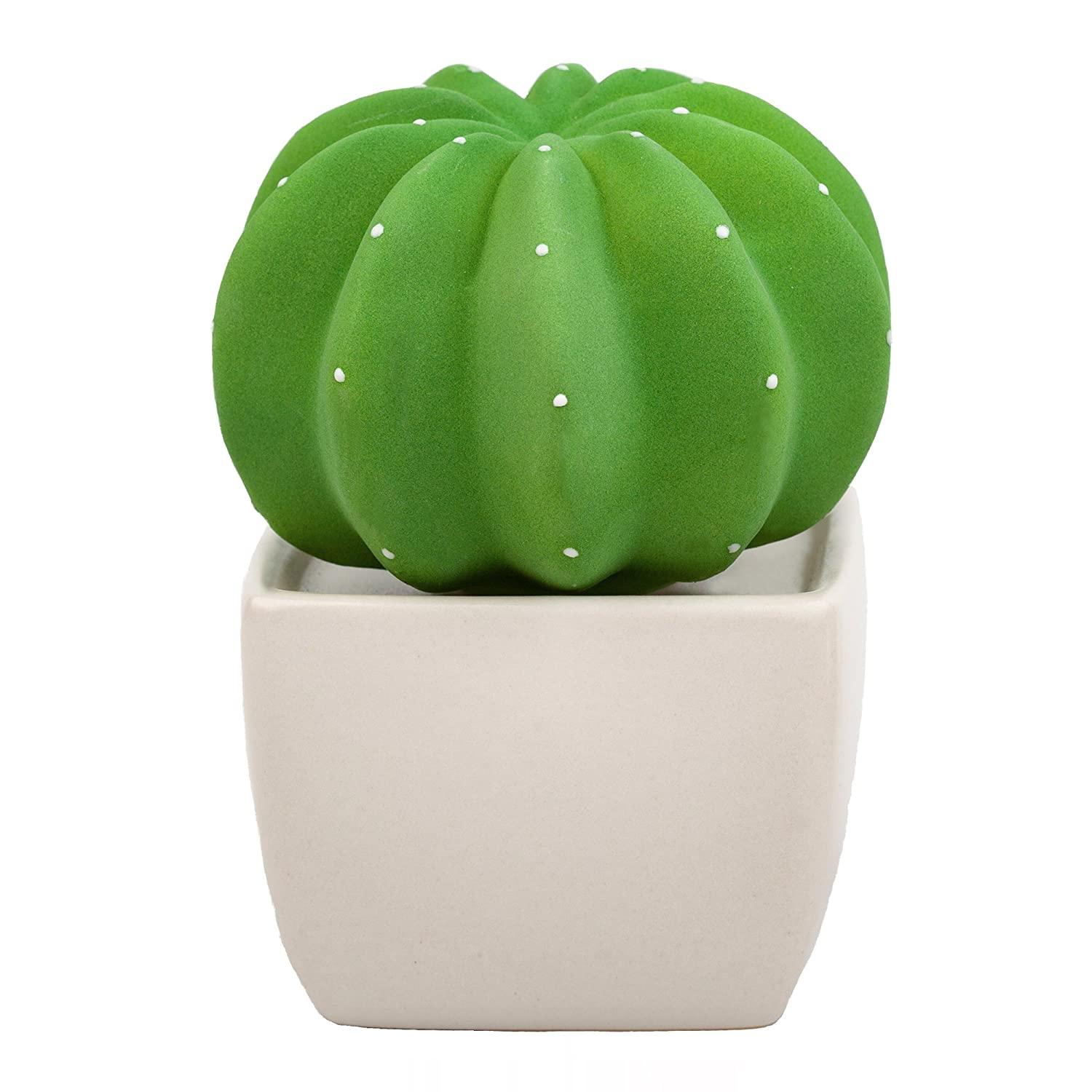 cute-gifts-for-girlfriends-cactus