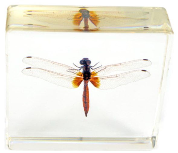 dragonfly-gifts-paperweight