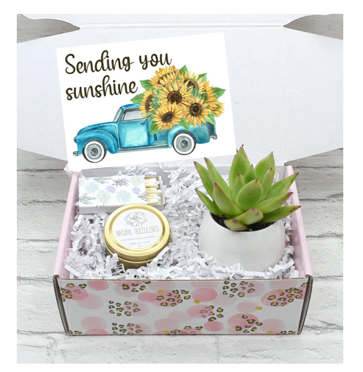 housewarming-gift-baskets-succulent