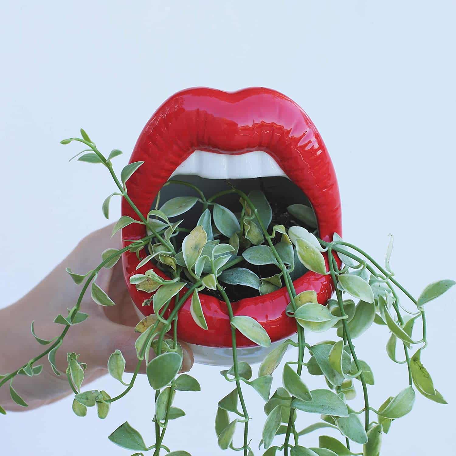 secret-santa-gift-ideas-lip-planter