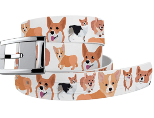 dog-dad-gifts-dog-belt