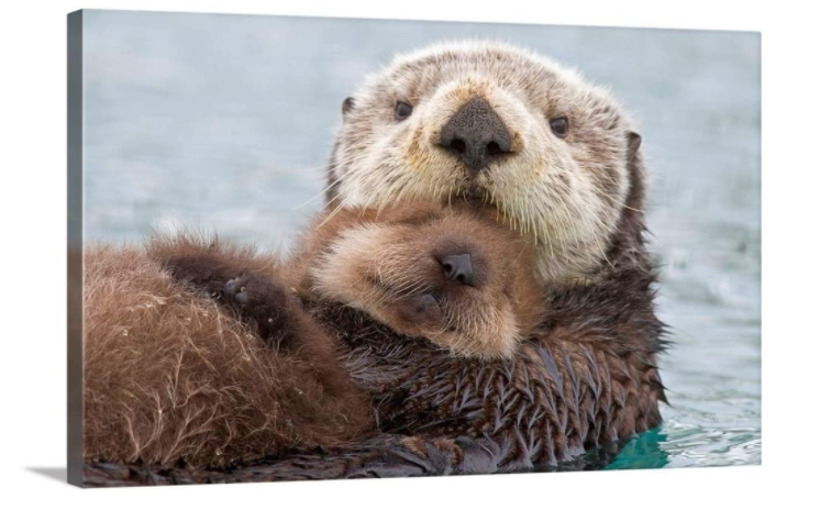 otter-gifts-print