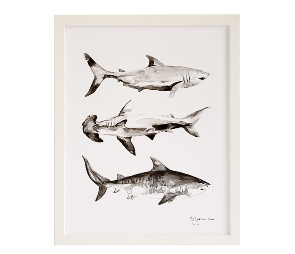 shark-gifts-print
