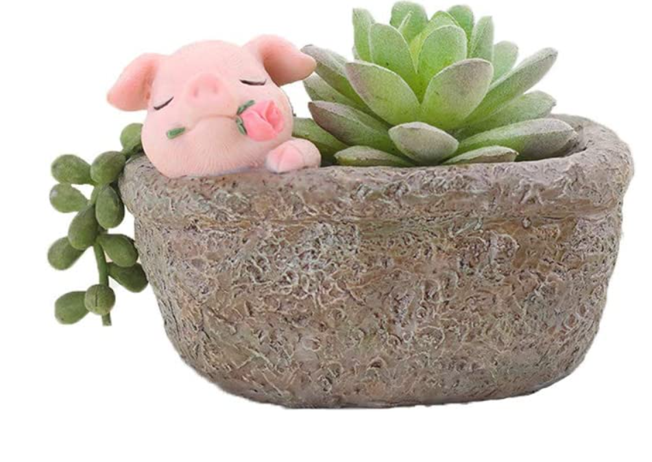 pig-gifts-planter