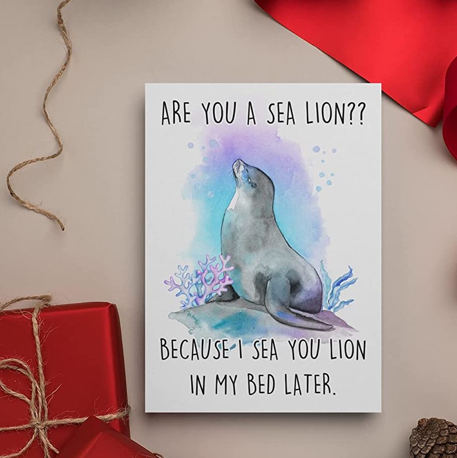 funny-valentines-day-cards-sea-lion