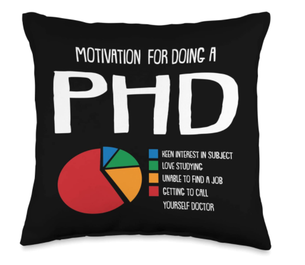 gifts-for-phd-students-pillow
