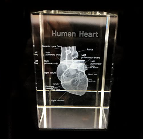 cardiologist-gifts-heart-paperweight