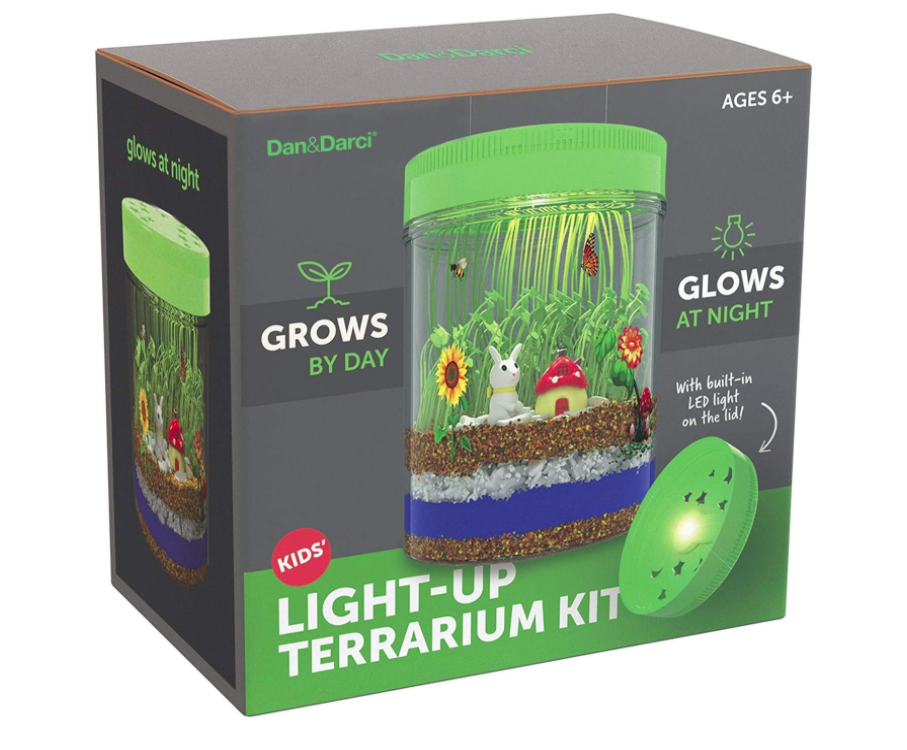 gifts-for-eight-year-old-boys-terrarium-kit
