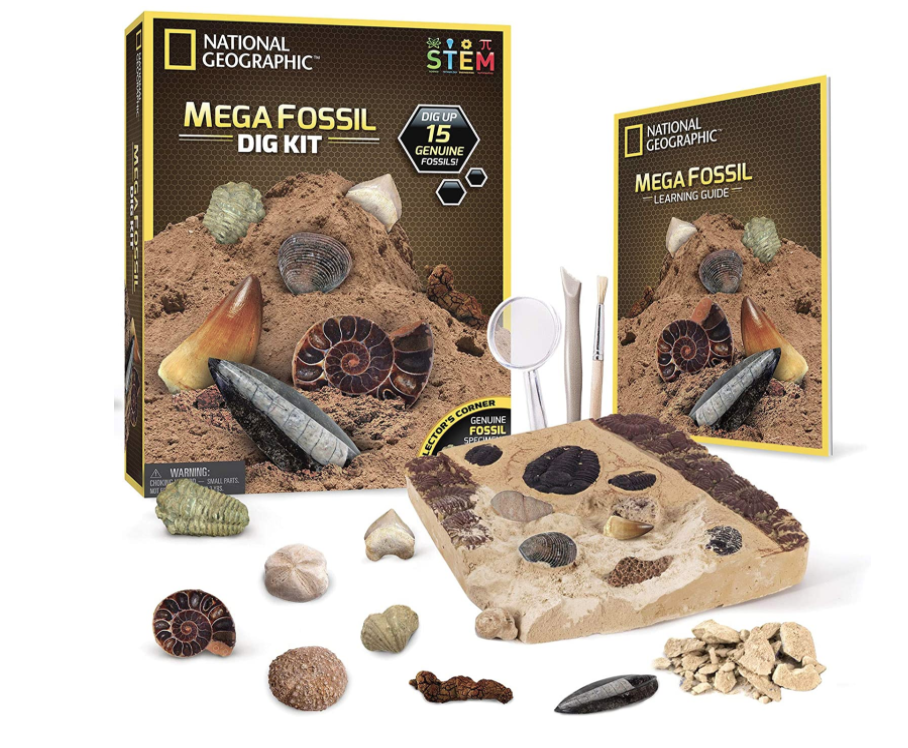 gifts-for-eight-year-old-boys-fossil-dig-kit