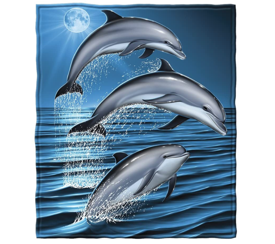 dolphin-gifts-blanket