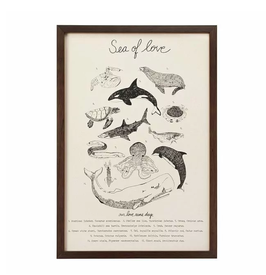 dolphin-gifts-marine-life-print