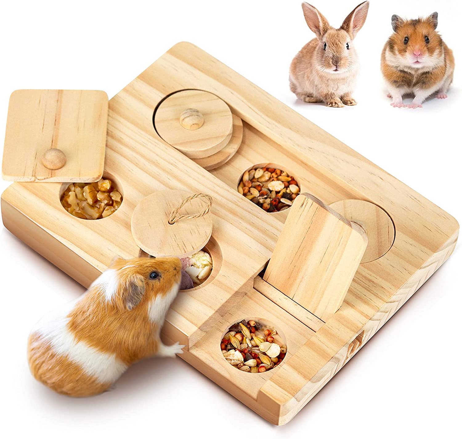 gifts-for-guinea-pigs-foraging 